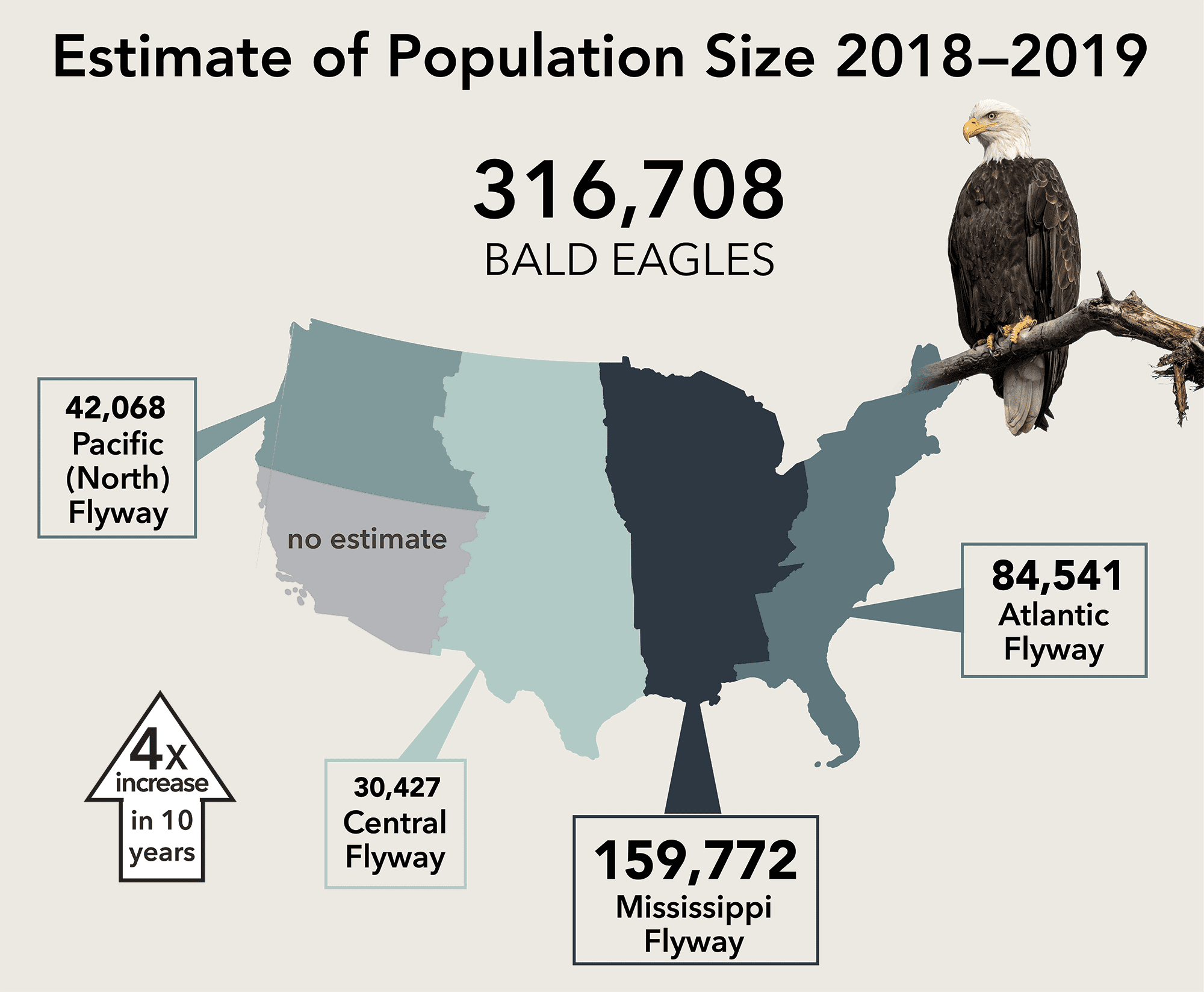Bald Eagle population map. Photo by Randy Walker/Macaulay Library, graph by Jillian Ditner.