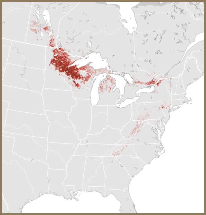 GWWA Abundance map