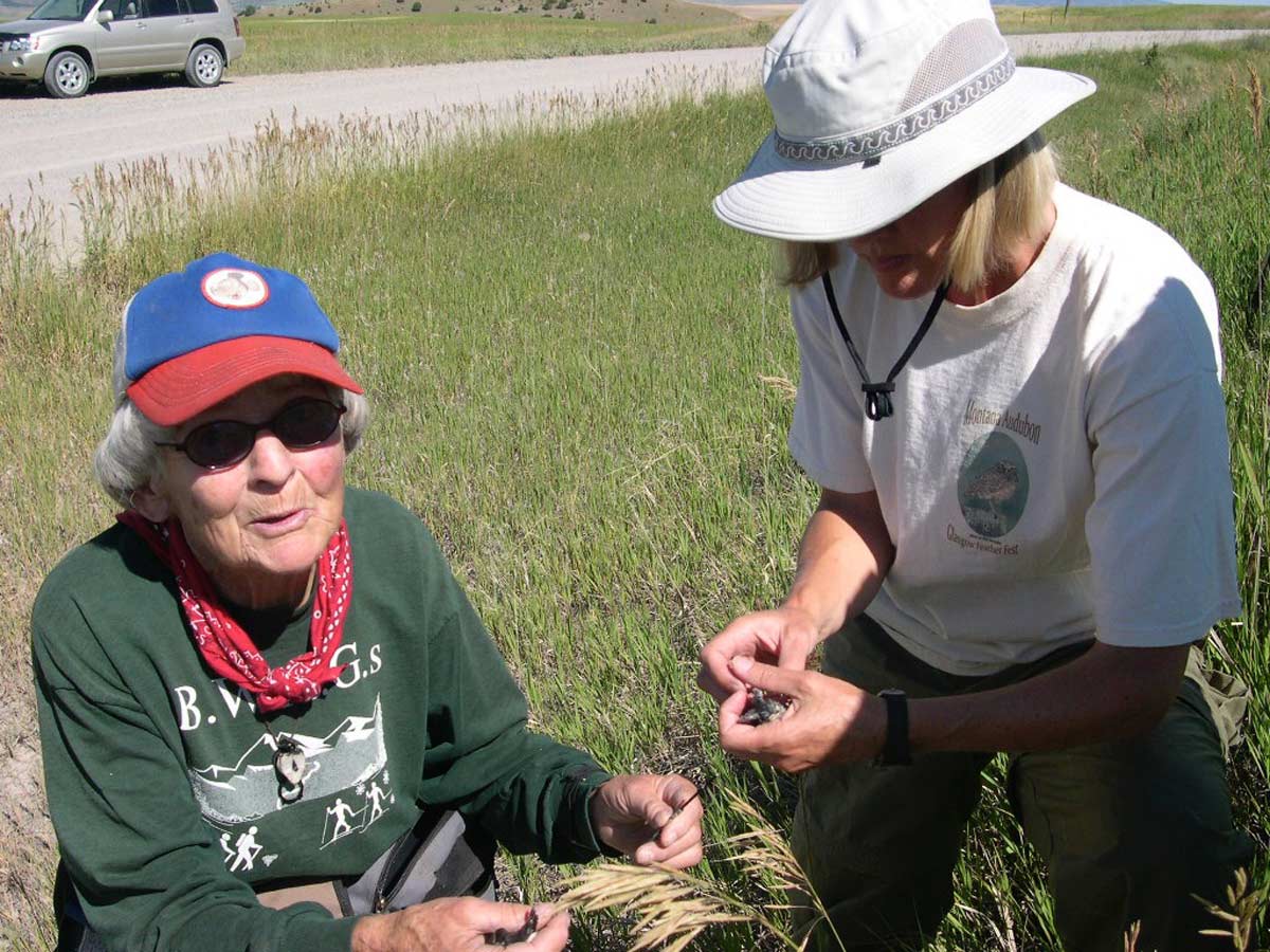 Mary Geis and Lou Ann Harris working with birds on Montana Bluebird Trail