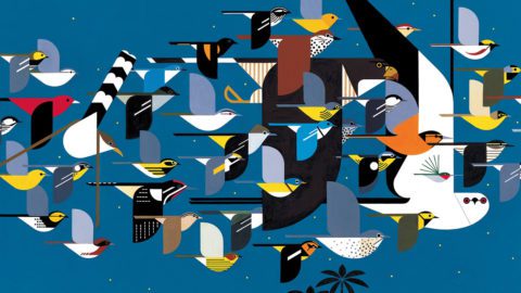 Migrating birds, "MYSTERY OF THE MISSING MIGRANTS," by Charley Harper Art Studio