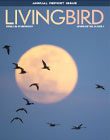 Living Bird, Storing 2021, cover. Whimbrels fly wideness a full moon. Photo by Andy Johnson.