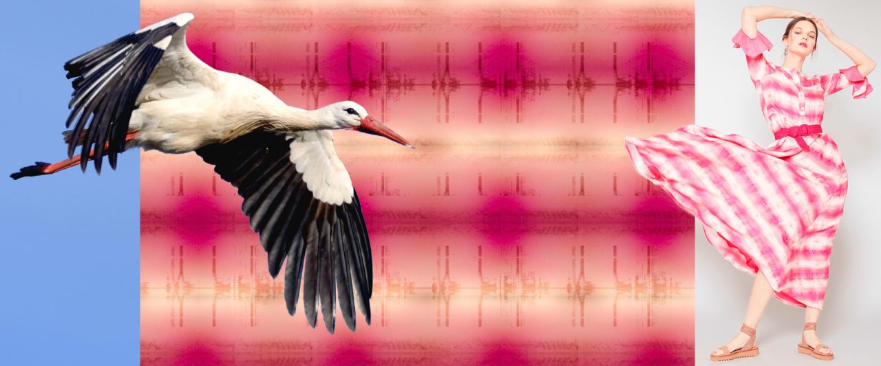 Artist Alice Hargrave used spectrograms of White Stork audio recordings from the Macaulay Library to make decorative prints, which became the design for a new fashion line in the Dovima Paris Spring Summer 2020 collection. Art and fashion photos courtesy of Dovima Paris; White Stork by Santiago Caballero Carrera/Macaulay Library