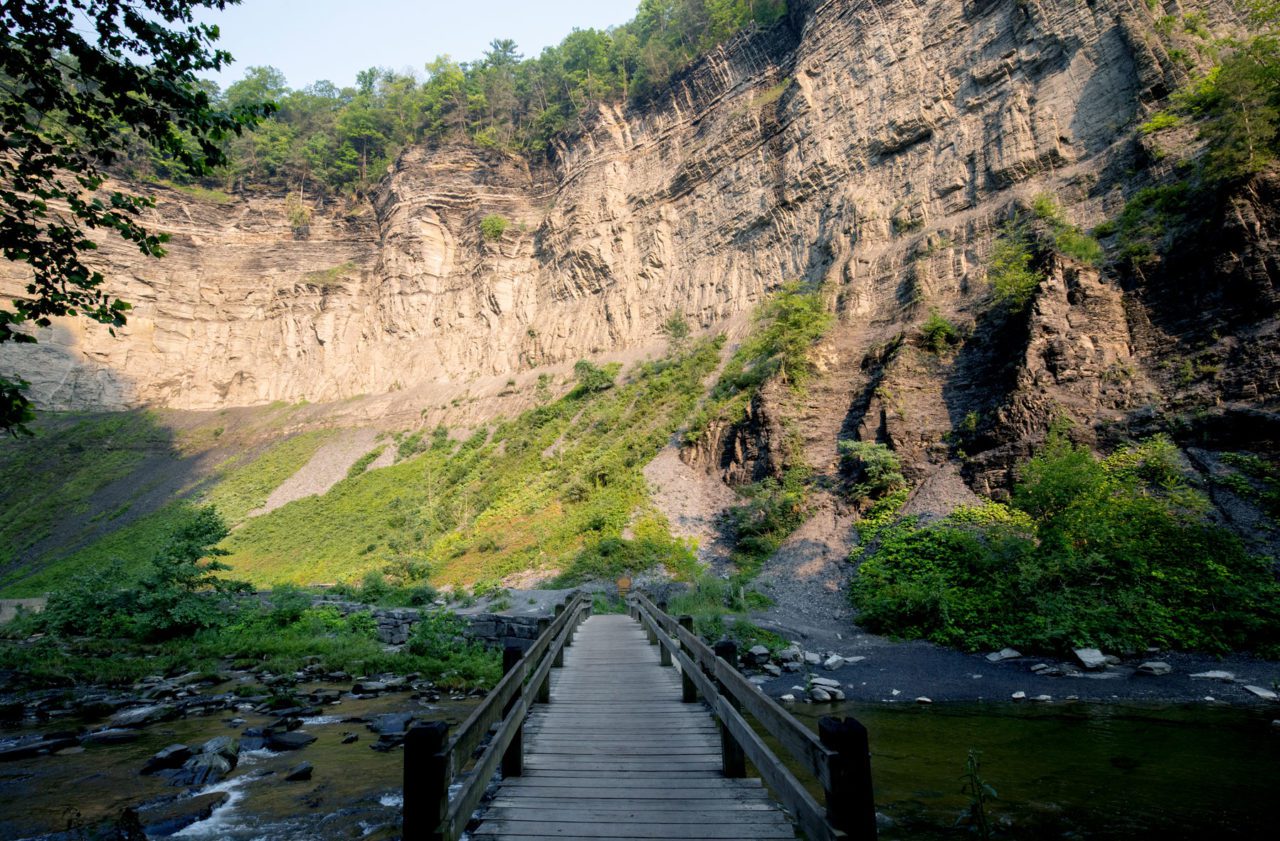 A mile long trail leads you through the gorge to the waterfall. photo of a boardwalk in gorge. Photo by Andy Johnson.
