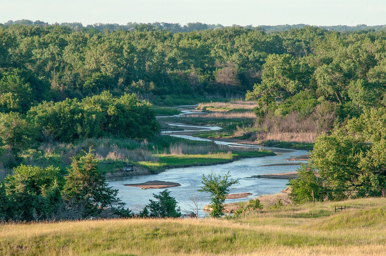 Platte River showing wooded habitat. Photo by Chris Helzer.