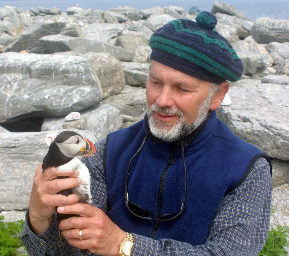 Stephen Kress holds an Atlantic Puffin. Photo courtesy of Stephen Kress.