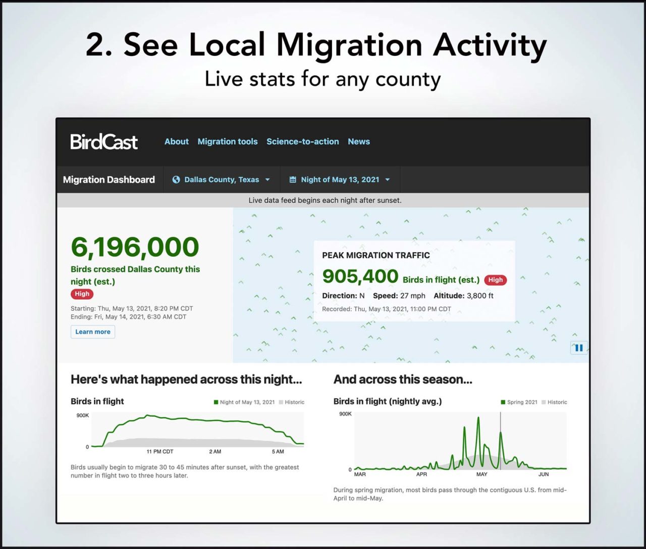 screenshot of Migration Dashboard showing stats for local bird migration activity