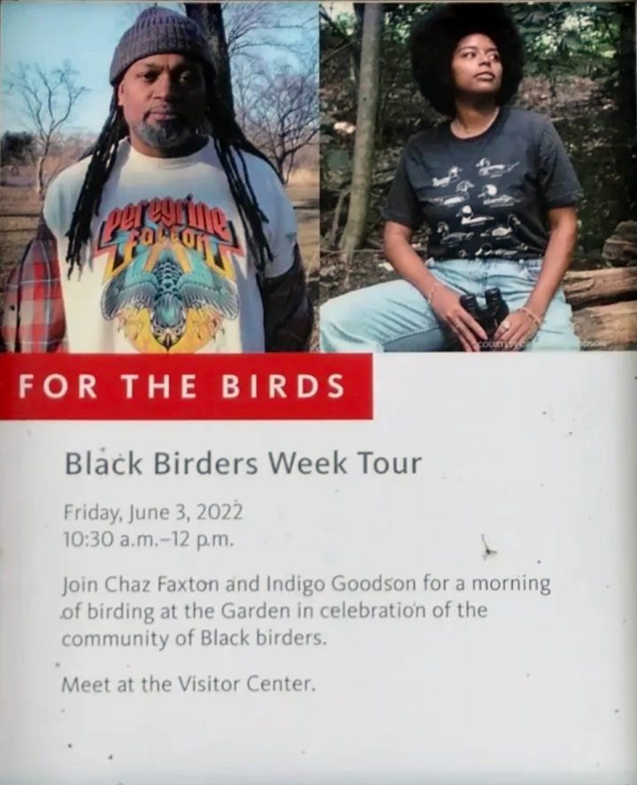 a flyer announcing a bird walk led by Chaz Faxton and Indigo Goodson, as part of Black Birders Week 2022