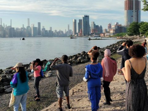 a group of men and women watch birds with a view of the New York skyline in the distance
