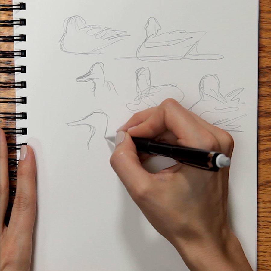 A person makes quick sketches of a duck in a journal.