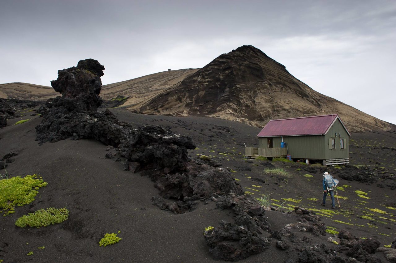 A barren black volcanic landscape with a small, red-roofed hut in the middle ground, and a researcher walking toward it holding a butterfly net.