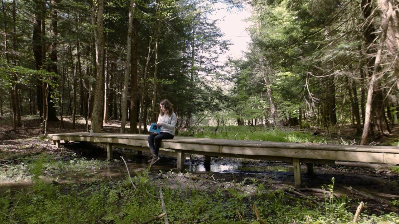 a person sits and sketches on a wooden bridge in a forest clearing
