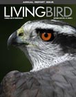 cover of Living Bird magazine showing the head of a goshawk