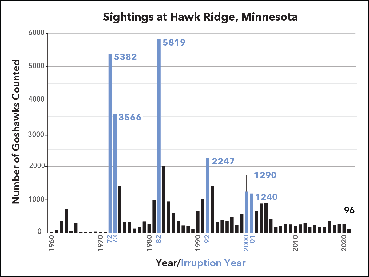 bar chart showing patterns in migration of Northern Goshawks at Hawk Ridge, Minnesota