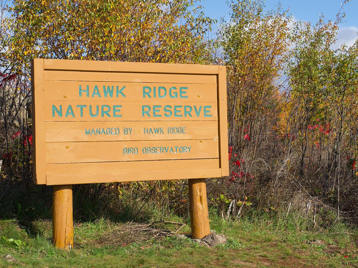 a yellow sign marks the Hawk Ridge Nature Reserve, managed by Hawk Ridge Bird Observatory