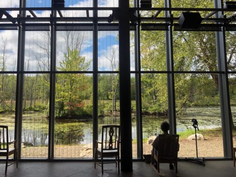 a person in a rocking chair looks at trees and a pond through a wall of windows