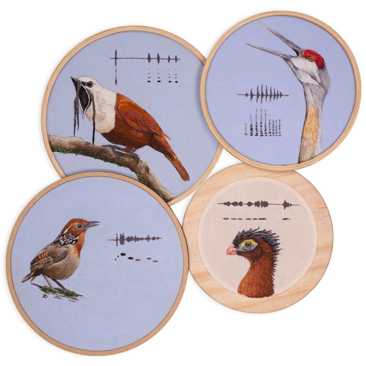 4 embroidery panels showing birds and representations of the sounds they make
