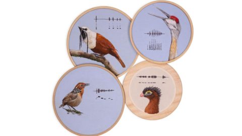 4 embroidery panels showing birds and representations of the sounds they make
