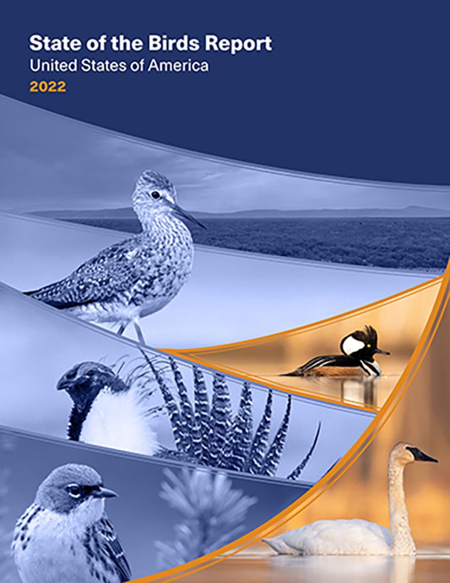 Синя и оранжева корица на State of the Birds 2022 с няколко различни птици на снимката.