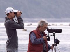 2 men watching birds with binoculars and a bird scope.