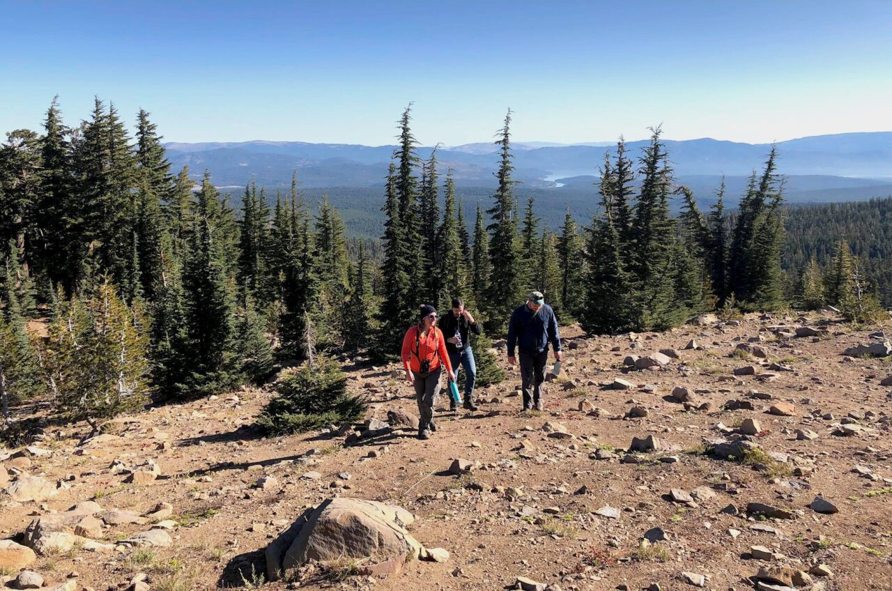 three researchers walk across rocky ground at treeline in the Sierra Nevada