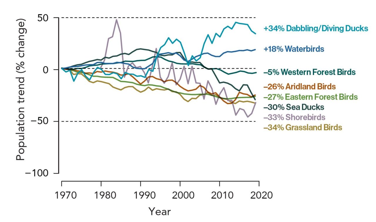 Графика на намаляващите групи птици от 1970 до 2020 г.