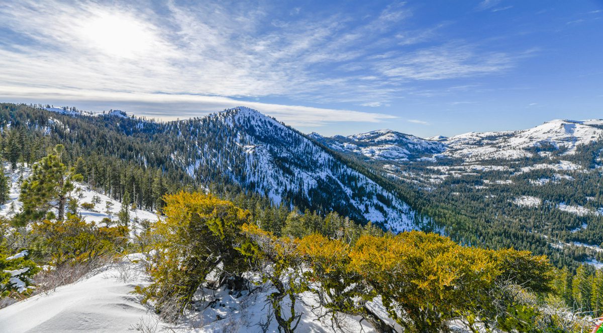 A snow-covered Sierra Nevada mountain landscape