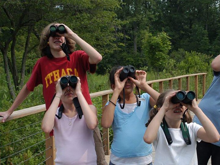 One woman and three chidden try out binoculars.
