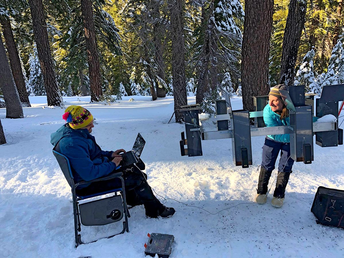 two researchers work with a bird feeder array in a snowy forest