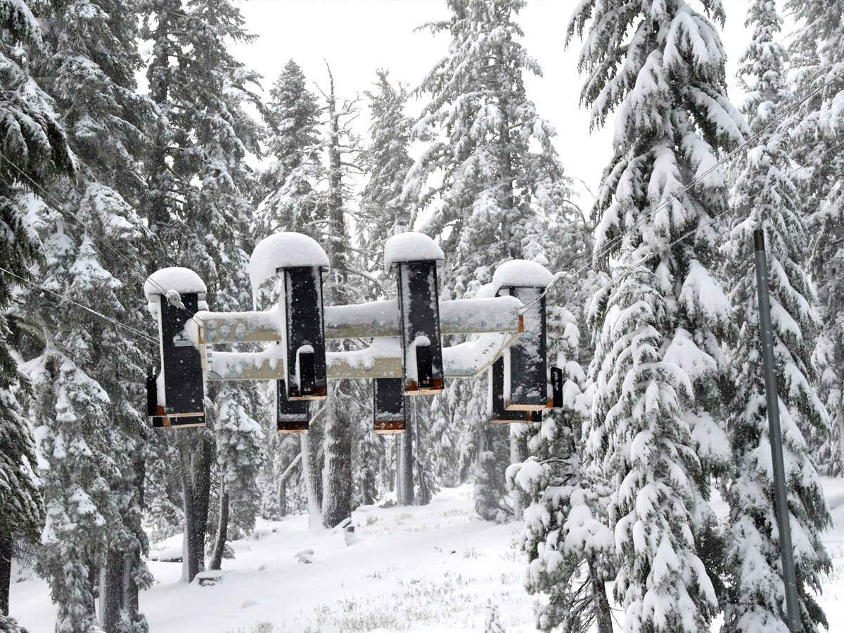 a bird feeder array hangs in a snowy forest
