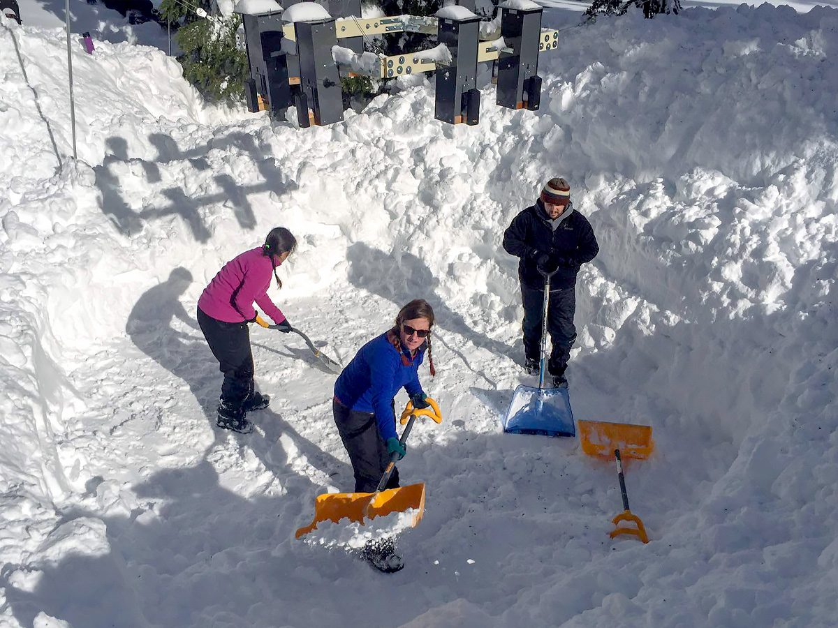researchers shovel deep snow from beneath a bird feeder array