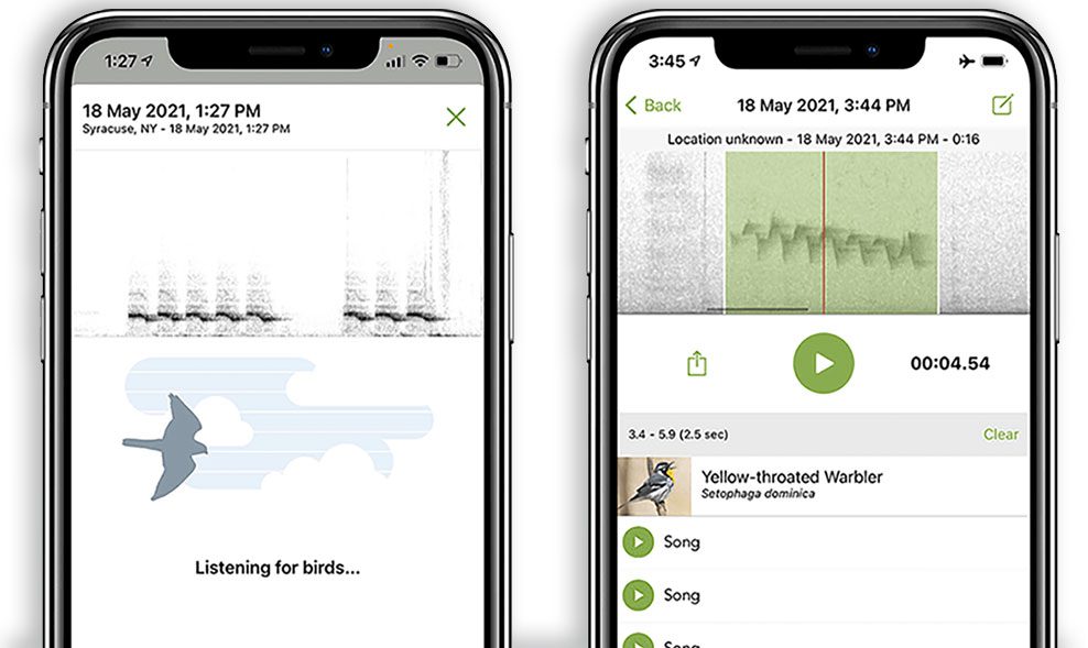 Image of a phone with the screen showing how you can record sound and Merlin Bird ID can identify the species.