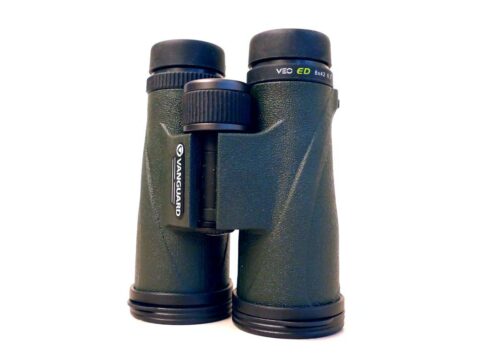Vanguard VEO ED 8x42 binoculars