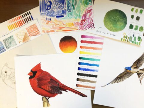 A colorful array of birdy artwork