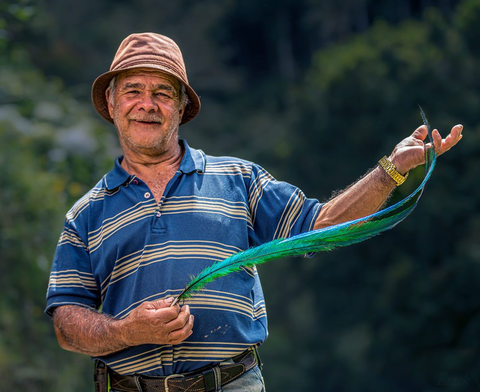 A man in a striped shirt holding a long green quetzal feather in his hands.
