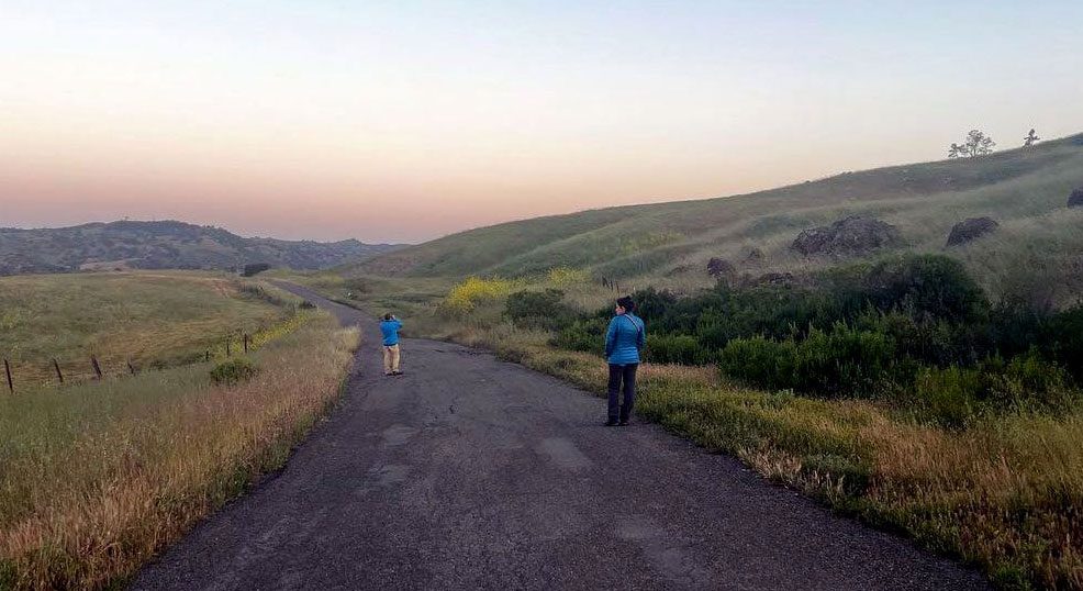 Two people birdwatching at dawn on a dirt road in an open gently hilled landscape.
