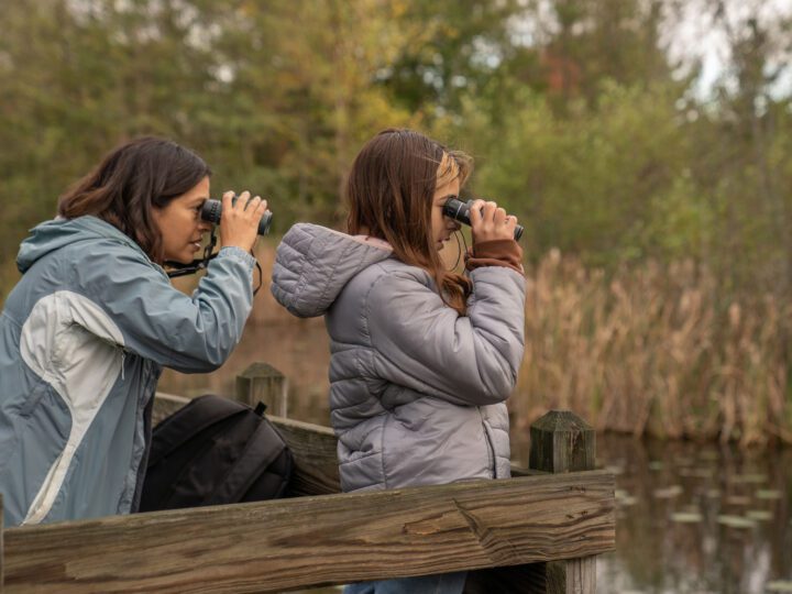 two birdwatchers use binoculars to look out over a pond