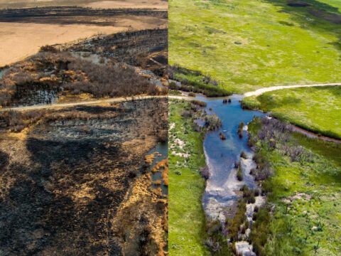 Before and without photos of burned ranching land.