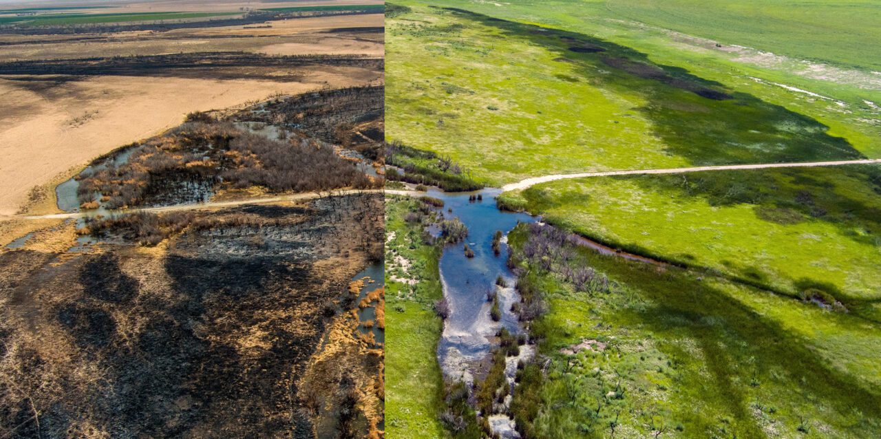 Before and after photos of burned ranching land. 