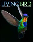 Cover of Living Bird, summer 2023, A rainbow colored hummingbird flying against a a black background.