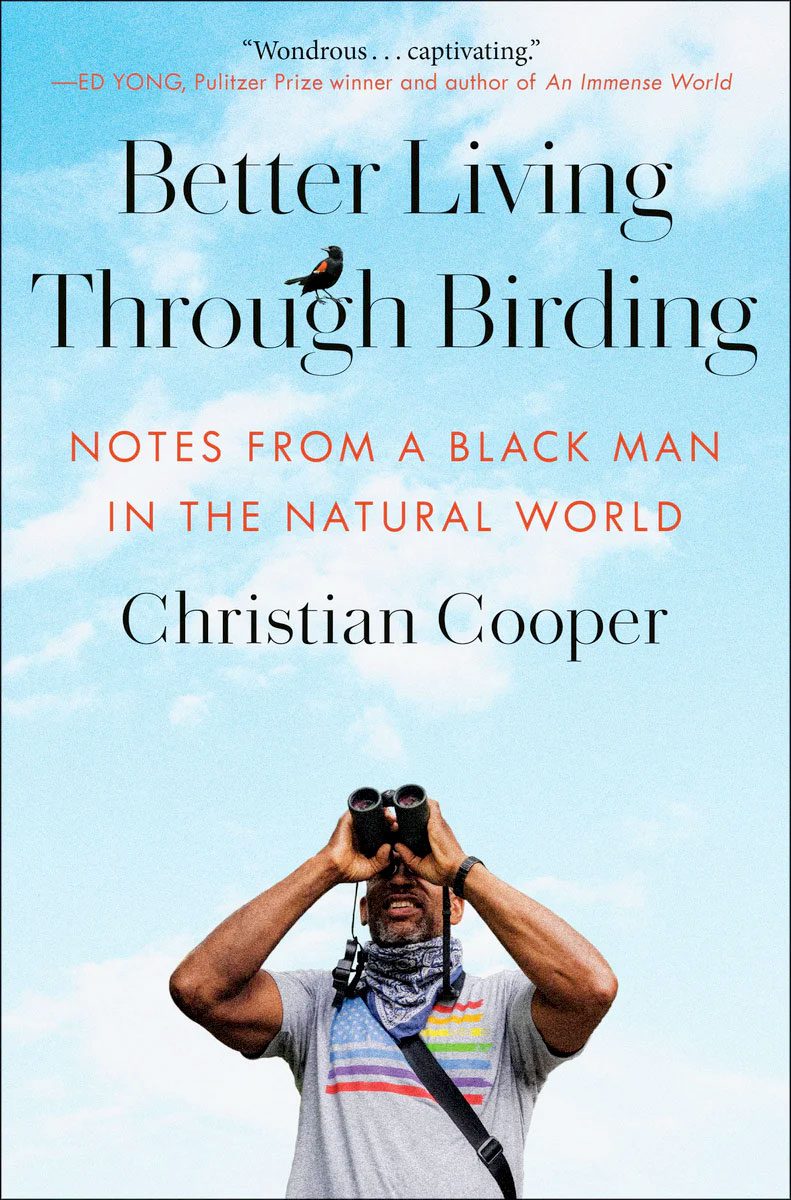 Book cover--man looking up with binoculars with blue cloudy sky in background.