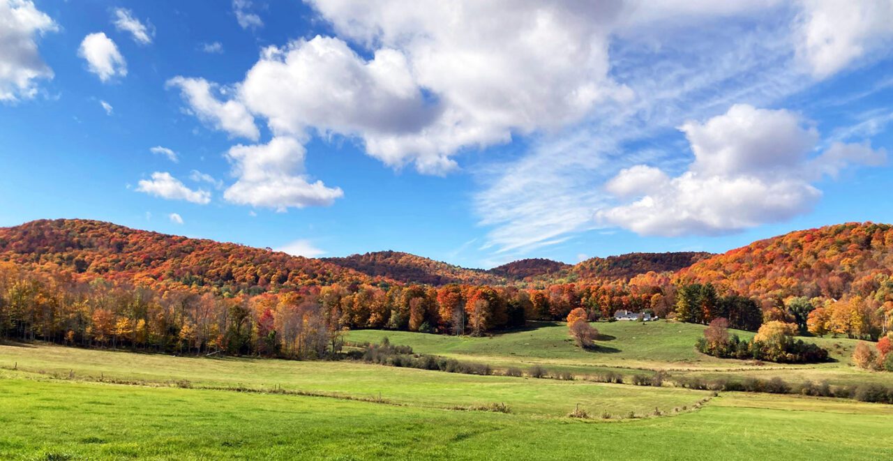 Beautiful, sunny autumn landscape photo with bluesky and white clouds, colorful trees and green pastures.