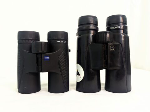 a smaller pair of binoculars stands beside a larger pair