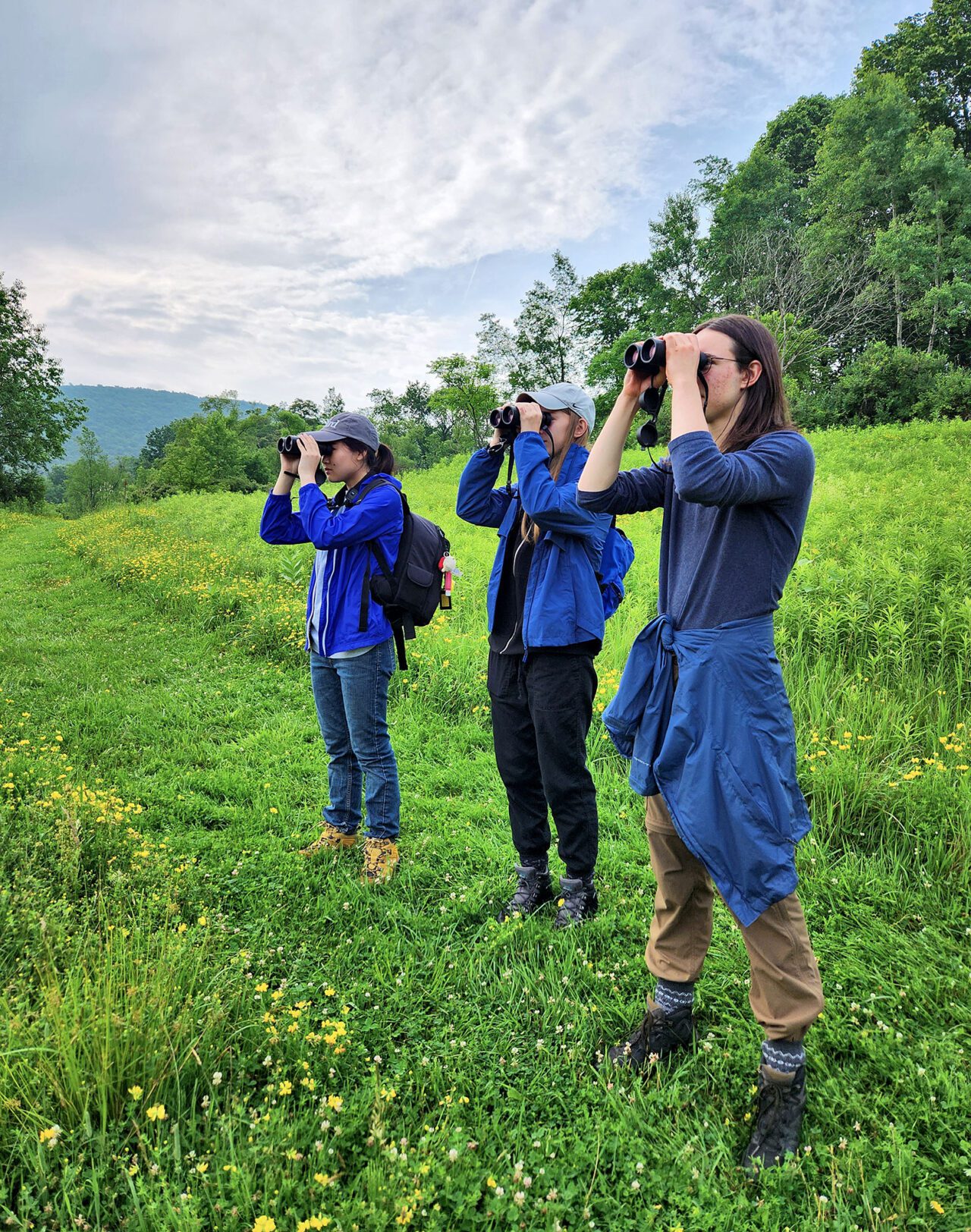 Three birdwatchers scan a view with binoculars.