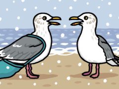 Cartoon of two gulls.