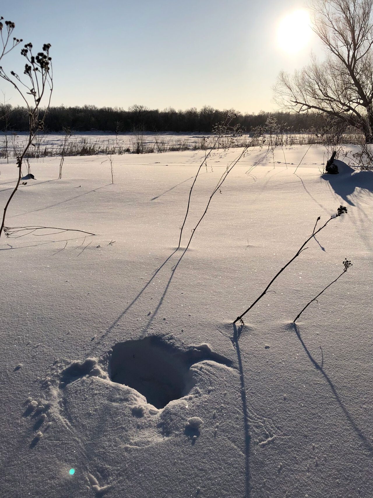 A snowy field in the evening light with a hole in the snow