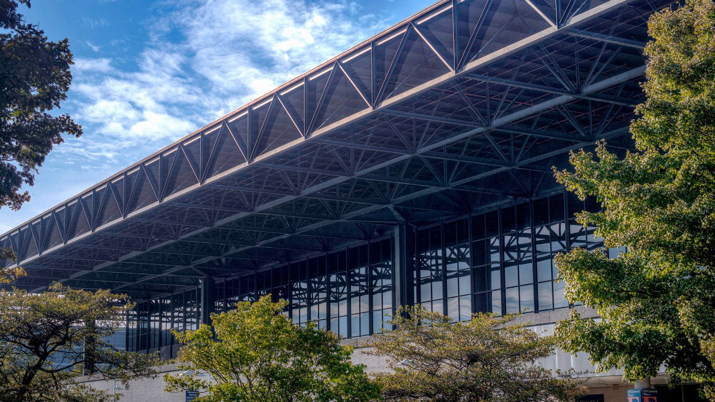 A Unmarried Night time of Chook Collisions in Chicago Issues to the Want for Window Protection