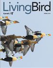 Cover of a magazine with ducks (with impressive multi-colored bills) flying.