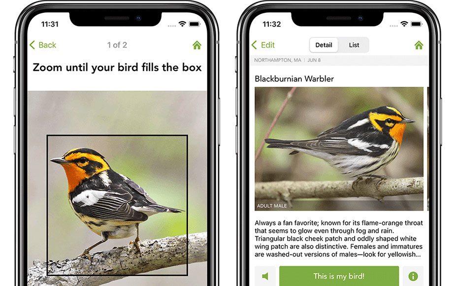 Two photo screens showing how Merlin Bird photo ID works