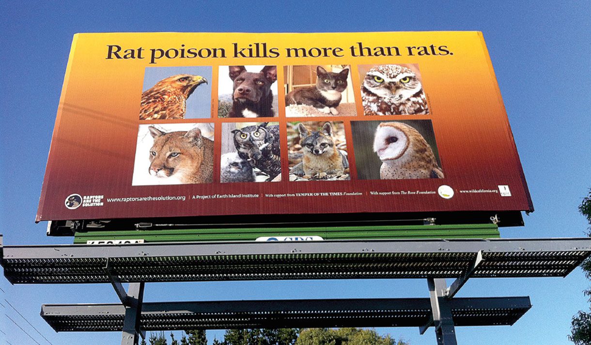 A billboard with photos of animals and a headline: "Rat poison kills more than rats."