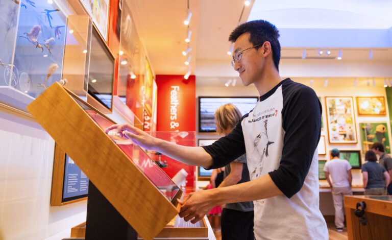 Cornell Lab Visitor Center is Reopened, and Reimagined | Living Bird ...